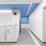 Lifebrain - Roma