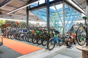 Motobici Riccio – Roma