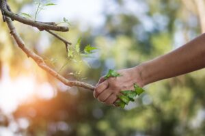 Siemens Environmental Product Declaration
