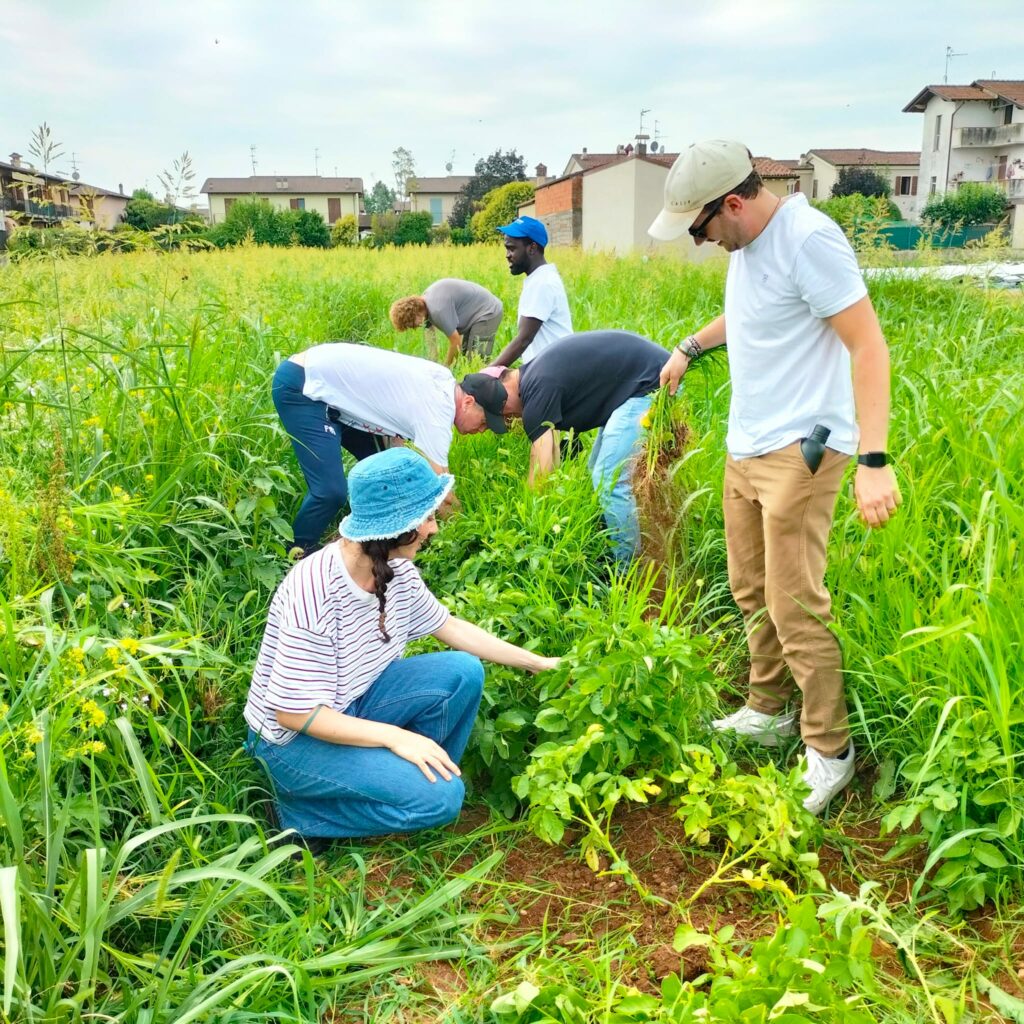 persone che lavorano nel campo