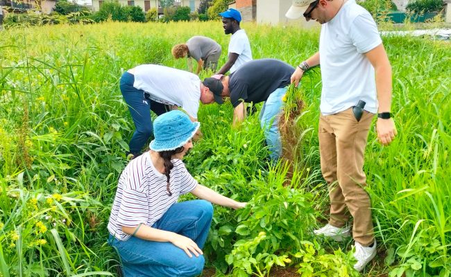 persone che lavorano nel campo