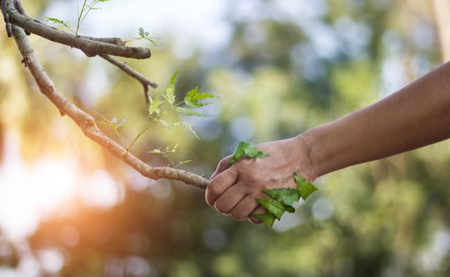 Siemens Environmental Product Declaration