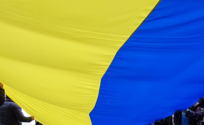 bandiera ucraina